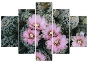 Slika cvijeta kaktusa (150x105 cm)