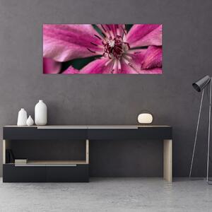 Slika ružičastog cvijeta klematisa (120x50 cm)