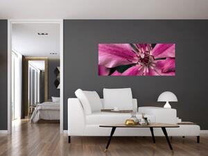 Slika ružičastog cvijeta klematisa (120x50 cm)
