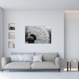 Slika maslačka - crno-bijela (90x60 cm)