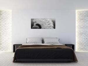 Slika maslačka - crno-bijela (120x50 cm)