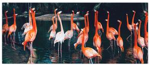Slika jata flaminga (120x50 cm)