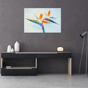 Slika cvijeta Strelicije (90x60 cm)