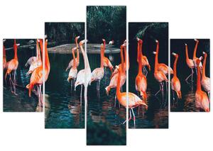 Slika jata flaminga (150x105 cm)