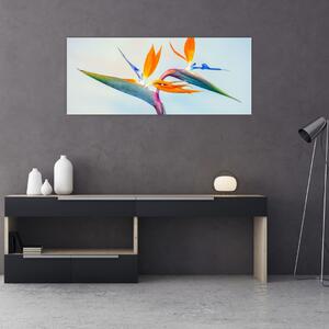 Slika cvijeta Strelicije (120x50 cm)