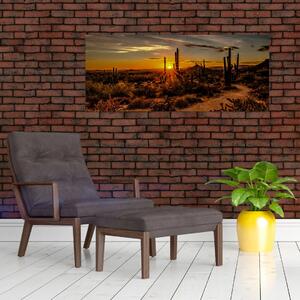 Slika - Kraj dana u pustinji Arizona (120x50 cm)