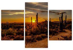 Slika - Kraj dana u pustinji Arizona (90x60 cm)