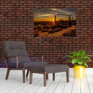 Slika - Kraj dana u pustinji Arizona (90x60 cm)