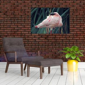 Slika - Flamingo (90x60 cm)