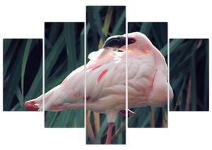 Slika - Flamingo (150x105 cm)