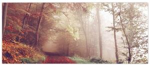 Slika - Jesenja šetnja šumom (120x50 cm)