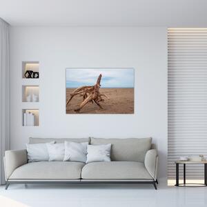 Slika - Naplavine iz mora (90x60 cm)