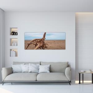 Slika - Naplavine iz mora (120x50 cm)