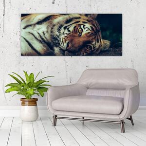 Slika - Sibirski tigar (120x50 cm)