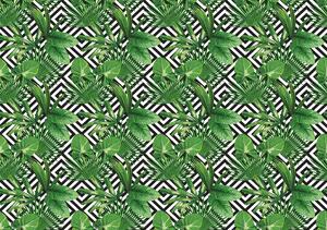 Foto tapeta - Geometrija i lišće (152,5x104 cm)