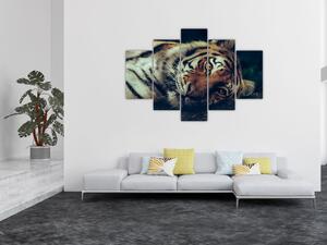 Slika - Sibirski tigar (150x105 cm)
