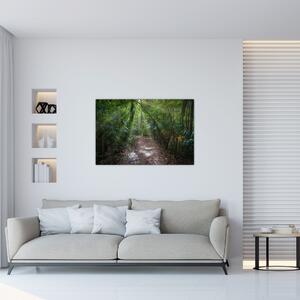 Slika - Sunčeve zrake u džungli (90x60 cm)