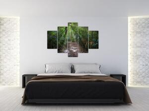 Slika - Sunčeve zrake u džungli (150x105 cm)
