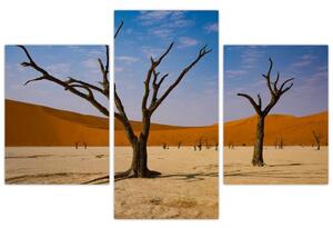 Slika - Dolina smrti (90x60 cm)