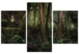 Slika - Tajanstvena šuma (90x60 cm)