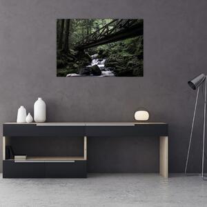 Slika crne šume (90x60 cm)