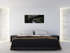 Slika crne šume (120x50 cm)