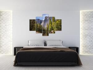 Slika - Ispod Josemitske stijene (150x105 cm)