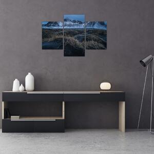 Slika pogleda na islandske vrhove (90x60 cm)