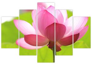 Slika cvijeta lotosa (150x105 cm)