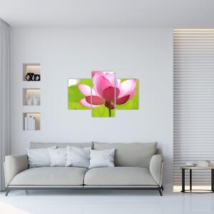 Slika cvijeta lotosa (90x60 cm)