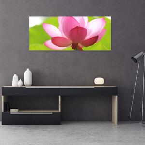 Slika cvijeta lotosa (120x50 cm)