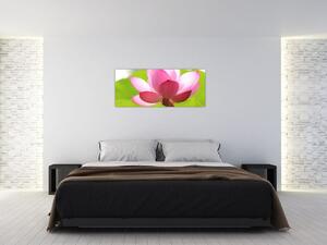Slika cvijeta lotosa (120x50 cm)