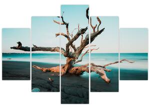Slika - Naplavine na plaži (150x105 cm)