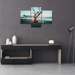 Slika - Naplavine na plaži (90x60 cm)