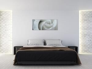 Slika - Bijela ruža (120x50 cm)