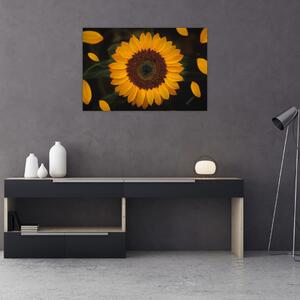 Slika - Suncokreti i latice cvijeta (90x60 cm)