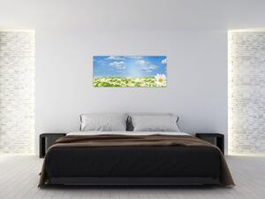 Slika procvjetale livade s tratinčicama (120x50 cm)