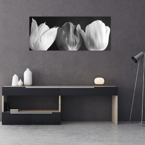 Slika - Crno-bijeli cvjetovi tulipana (120x50 cm)