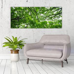 Slika - Pogled u krošnje drveća (120x50 cm)