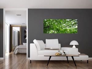 Slika - Pogled u krošnje drveća (120x50 cm)