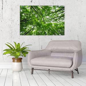 Slika - Pogled u krošnje drveća (90x60 cm)