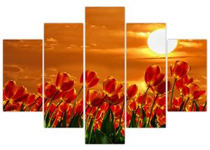 Slika cvatućeg polja s tulipanima (150x105 cm)