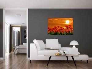 Slika cvatućeg polja s tulipanima (90x60 cm)