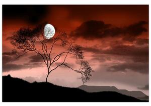 Slika - Mjesec koji osvjetljava noć (90x60 cm)
