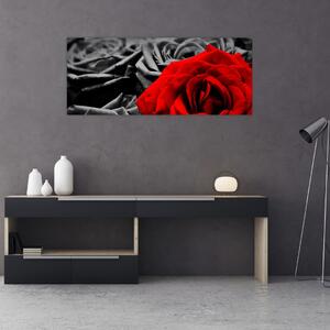 Slika - Cvjetovi ruže (120x50 cm)