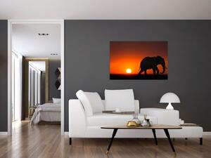 Slika slona u zalasku sunca (90x60 cm)