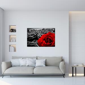 Slika - Cvjetovi ruže (90x60 cm)