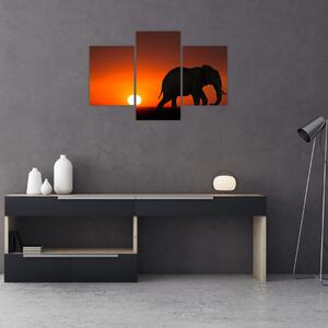 Slika slona u zalasku sunca (90x60 cm)