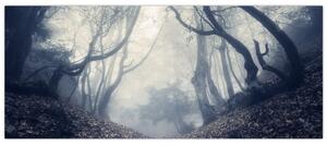 Slika - Šuma u magli (120x50 cm)