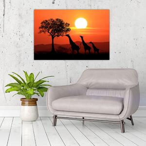 Slika žirafa u zalasku sunca (90x60 cm)